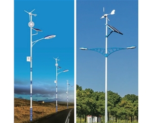 定西道路太阳能路灯-LB-10