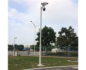 定西道路监控杆-LB-05
