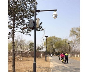 定西路灯监控杆-LB-03