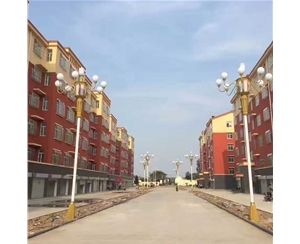 定西中华灯批发